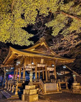 ⛩️ 가네가사키 신사(가네가사키구) 이미지 2